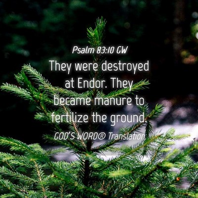 Picture 04 - Psalm 83:10 GW - They were destroyed at Endor. They became manure - Bible Verse Picture
