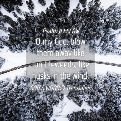 Picture 04 - Psalm 83:13 GW - O my God, blow them away like tumbleweeds, like - Bible Verse Picture