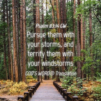 Picture 04 - Psalm 83:14 GW - Pursue them with your storms, and terrify them - Bible Verse Picture