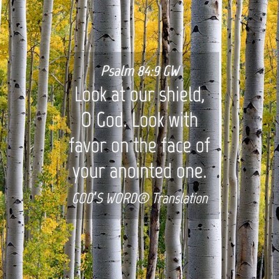 Picture 04 - Psalm 84:9 GW - Look at our shield, O God. Look with favor on the - Bible Verse Picture