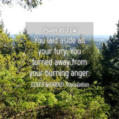Picture 04 - Psalm 85:3 GW - You laid aside all your fury. You turned away - Bible Verse Picture