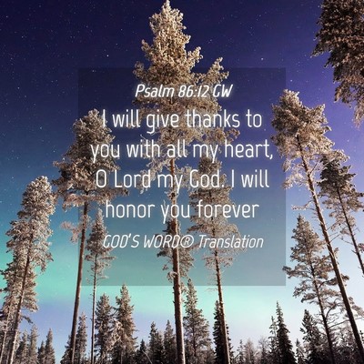 Picture 04 - Psalm 86:12 GW - I will give thanks to you with all my heart, O - Bible Verse Picture
