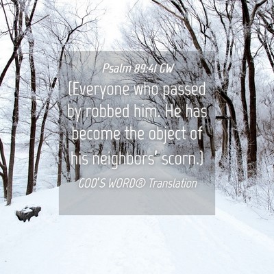 Picture 04 - Psalm 89:41 GW - (Everyone who passed by robbed him. He has become - Bible Verse Picture