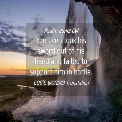 Picture 04 - Psalm 89:43 GW - You even took his sword out of his hand and - Bible Verse Picture
