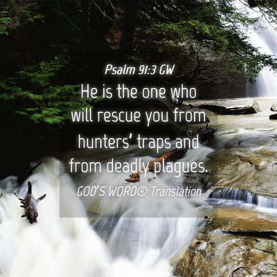 Picture 04 - Psalm 91:3 GW - He is the one who will rescue you from hunters’ - Bible Verse Picture