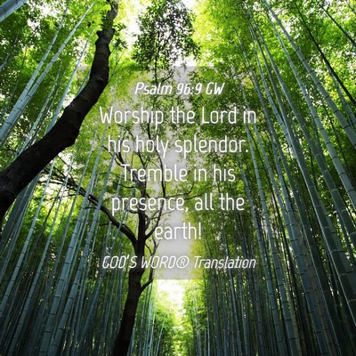 Picture 04 - Psalm 96:9 GW - Worship the Lord in his holy splendor. Tremble in - Bible Verse Picture