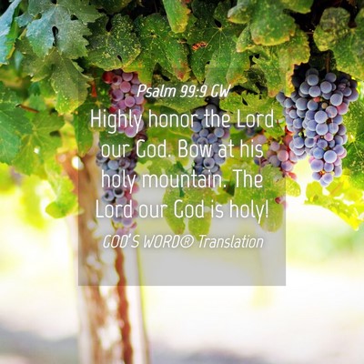 Picture 04 - Psalm 99:9 GW - Highly honor the Lord our God. Bow at his holy - Bible Verse Picture