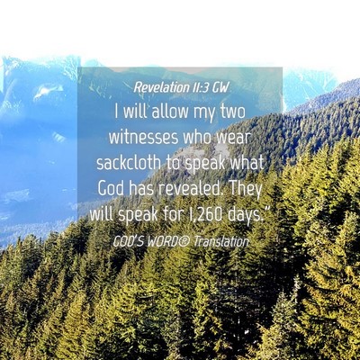 Picture 04 - Revelation 11:3 GW - I will allow my two witnesses who wear sackcloth - Bible Verse Picture