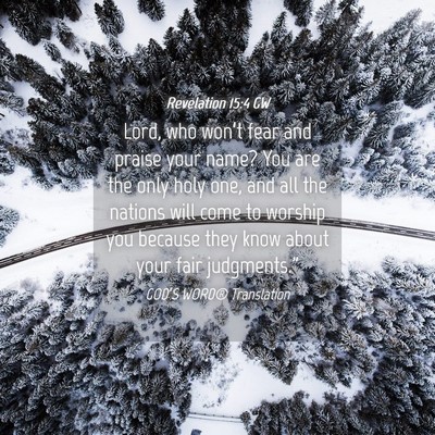 Picture 04 - Revelation 15:4 GW - Lord, who won’t fear and praise your name? You - Bible Verse Picture