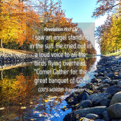 Picture 04 - Revelation 19:17 GW - I saw an angel standing in the sun. He cried out - Bible Verse Picture