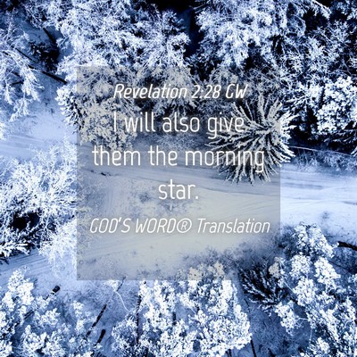 Picture 04 - Revelation 2:28 GW - I will also give them the morning - Bible Verse Picture