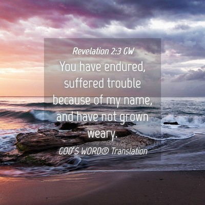 Picture 04 - Revelation 2:3 GW - You have endured, suffered trouble because of my - Bible Verse Picture