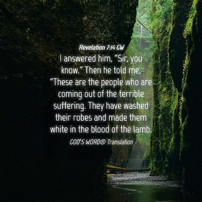 Picture 04 - Revelation 7:14 GW - I answered him, “Sir, you know.” Then he told - Bible Verse Picture
