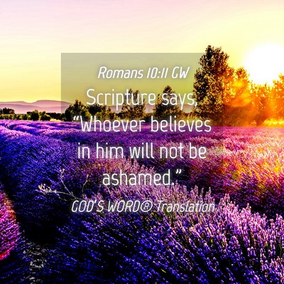 Picture 04 - Romans 10:11 GW - Scripture says, “Whoever believes in him will - Bible Verse Picture
