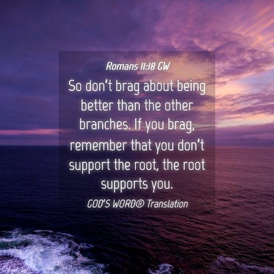 Picture 04 - Romans 11:18 GW - So don’t brag about being better than the other - Bible Verse Picture