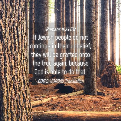 Picture 04 - Romans 11:23 GW - If Jewish people do not continue in their - Bible Verse Picture