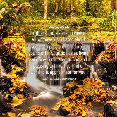 Picture 04 - Romans 12:1 GW - Brothers and sisters, in view of all we have just - Bible Verse Picture
