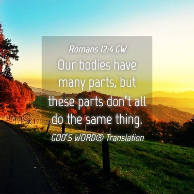 Picture 04 - Romans 12:4 GW - Our bodies have many parts, but these parts - Bible Verse Picture