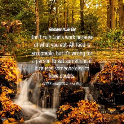 Picture 04 - Romans 14:20 GW - Don’t ruin God’s work because of what you - Bible Verse Picture