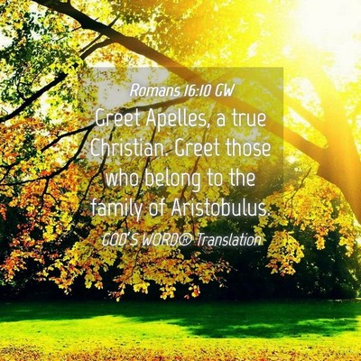 Picture 04 - Romans 16:10 GW - Greet Apelles, a true Christian. Greet those who - Bible Verse Picture
