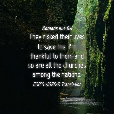 Picture 04 - Romans 16:4 GW - They risked their lives to save me. I’m - Bible Verse Picture