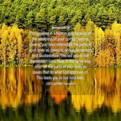 Picture 04 - Romans 6:19 GW - I’m speaking in a human way because of the - Bible Verse Picture