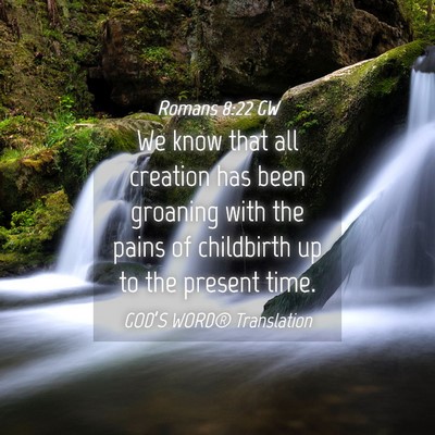 Picture 04 - Romans 8:22 GW - We know that all creation has been groaning with - Bible Verse Picture