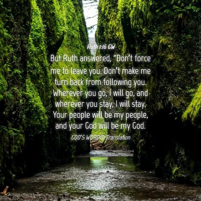 Picture 04 - Ruth 1:16 GW - But Ruth answered, “Don’t force me to leave - Bible Verse Picture