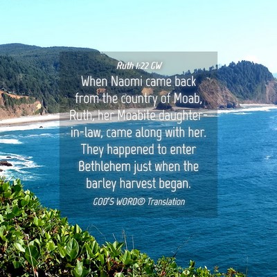 Picture 04 - Ruth 1:22 GW - When Naomi came back from the country of Moab, - Bible Verse Picture