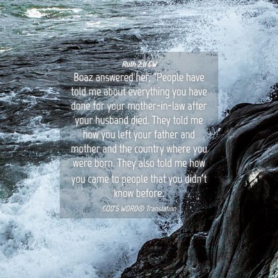 Picture 04 - Ruth 2:11 GW - Boaz answered her, “People have told me about - Bible Verse Picture