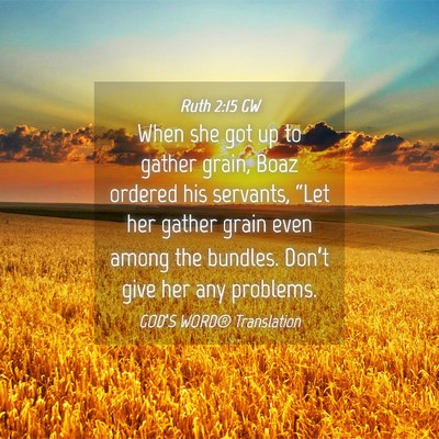 Picture 04 - Ruth 2:15 GW - When she got up to gather grain, Boaz ordered his - Bible Verse Picture
