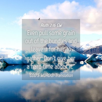 Picture 04 - Ruth 2:16 GW - Even pull some grain out of the bundles and leave - Bible Verse Picture