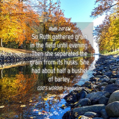 Picture 04 - Ruth 2:17 GW - So Ruth gathered grain in the field until - Bible Verse Picture