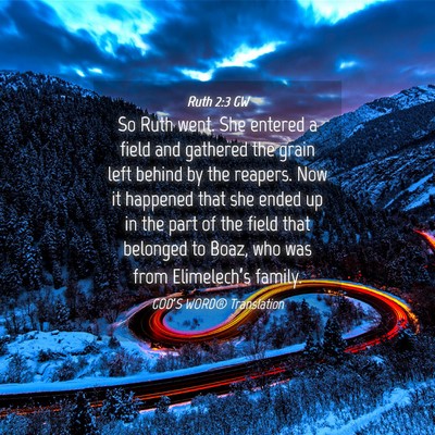 Picture 04 - Ruth 2:3 GW - So Ruth went. She entered a field and gathered - Bible Verse Picture