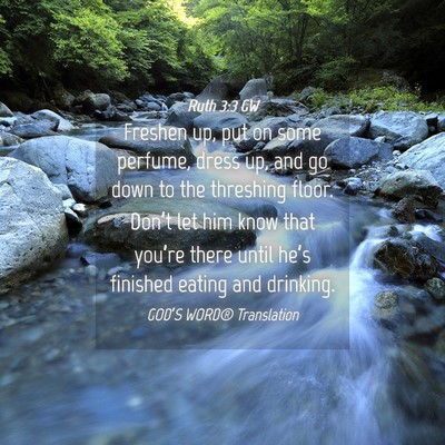 Picture 04 - Ruth 3:3 GW - Freshen up, put on some perfume, dress up, and go - Bible Verse Picture