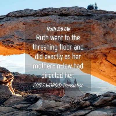 Picture 04 - Ruth 3:6 GW - Ruth went to the threshing floor and did exactly - Bible Verse Picture
