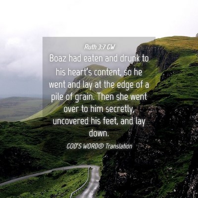 Picture 04 - Ruth 3:7 GW - Boaz had eaten and drunk to his heart’s - Bible Verse Picture
