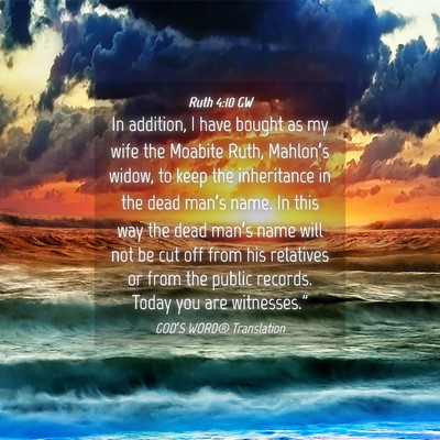 Picture 04 - Ruth 4:10 GW - In addition, I have bought as my wife the Moabite - Bible Verse Picture