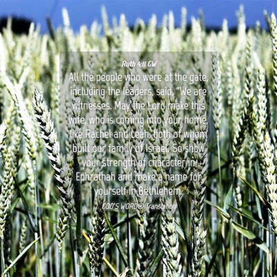 Picture 04 - Ruth 4:11 GW - All the people who were at the gate, including - Bible Verse Picture