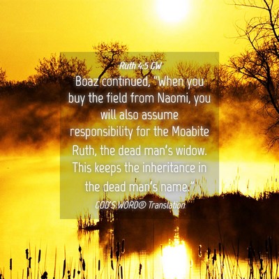Picture 04 - Ruth 4:5 GW - Boaz continued, “When you buy the field from - Bible Verse Picture