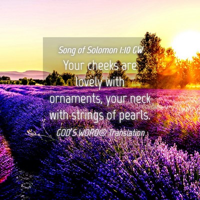 Picture 04 - Song of Solomon 1:10 GW - Your cheeks are lovely with ornaments, your neck - Bible Verse Picture