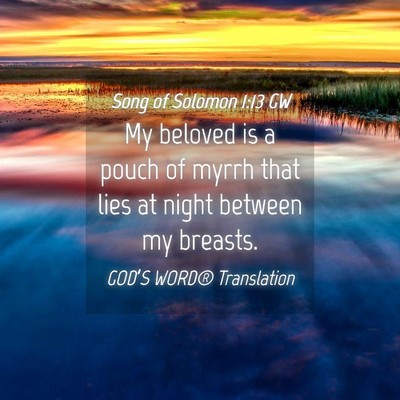 Picture 04 - Song of Solomon 1:13 GW - My beloved is a pouch of myrrh that lies at night - Bible Verse Picture