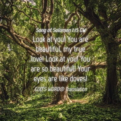 Picture 04 - Song of Solomon 1:15 GW - Look at you! You are beautiful, my true love! - Bible Verse Picture