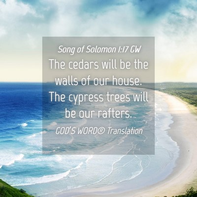 Picture 04 - Song of Solomon 1:17 GW - The cedars will be the walls of our house. The - Bible Verse Picture