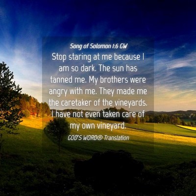 Picture 04 - Song of Solomon 1:6 GW - Stop staring at me because I am so dark. The sun - Bible Verse Picture