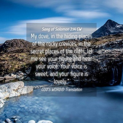 Picture 04 - Song of Solomon 2:14 GW - My dove, in the hiding places of the rocky - Bible Verse Picture