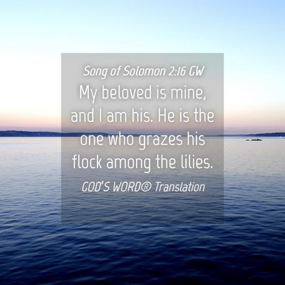 Picture 04 - Song of Solomon 2:16 GW - My beloved is mine, and I am his. He is the one - Bible Verse Picture