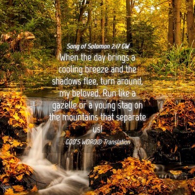 Picture 04 - Song of Solomon 2:17 GW - When the day brings a cooling breeze and the - Bible Verse Picture