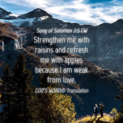 Picture 04 - Song of Solomon 2:5 GW - Strengthen me with raisins and refresh me with - Bible Verse Picture