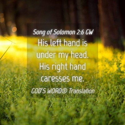 Picture 04 - Song of Solomon 2:6 GW - His left hand is under my head. His right hand - Bible Verse Picture